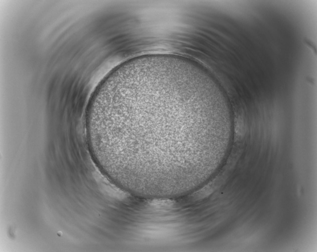 X0000103471466200810100924