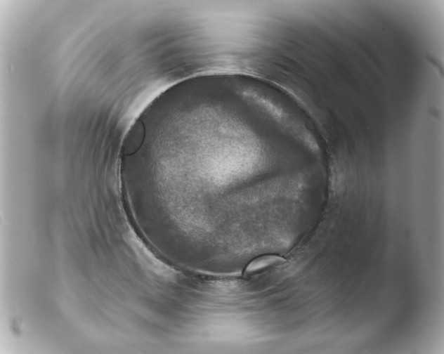 X0000103471468200810100924