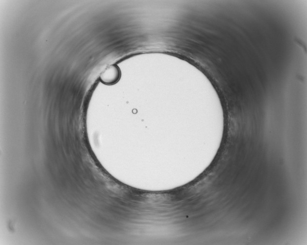 X0000103471469200810100924