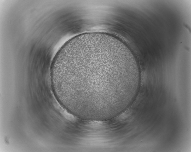 X0000103471470200810100924