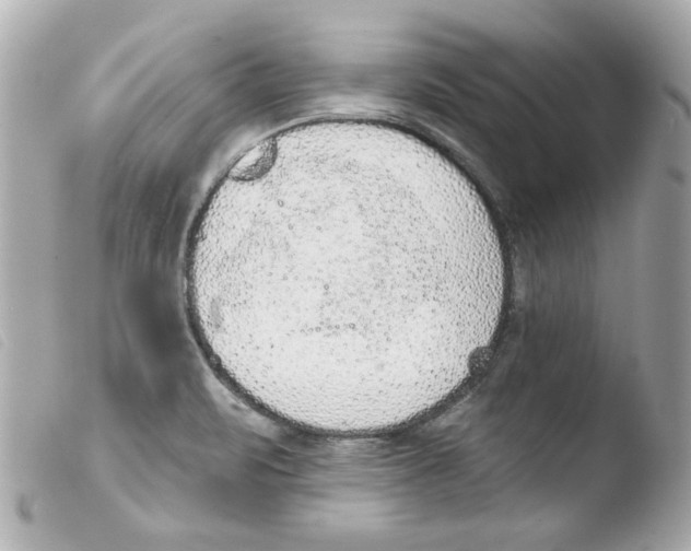 X0000103471471200810100924
