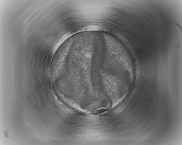 X0000103471473200810100923