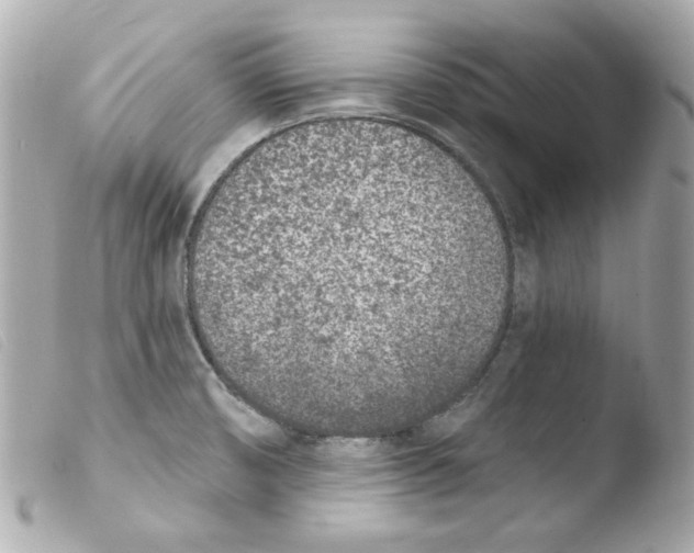 X0000103471474200810100923