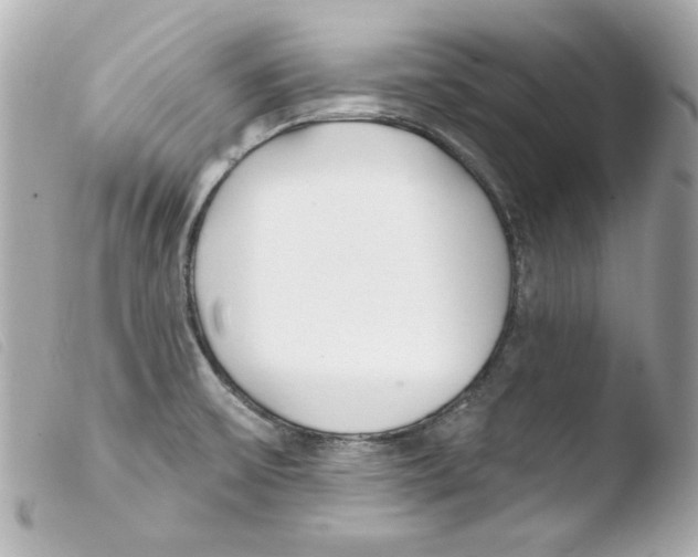 X0000103471475200810100923