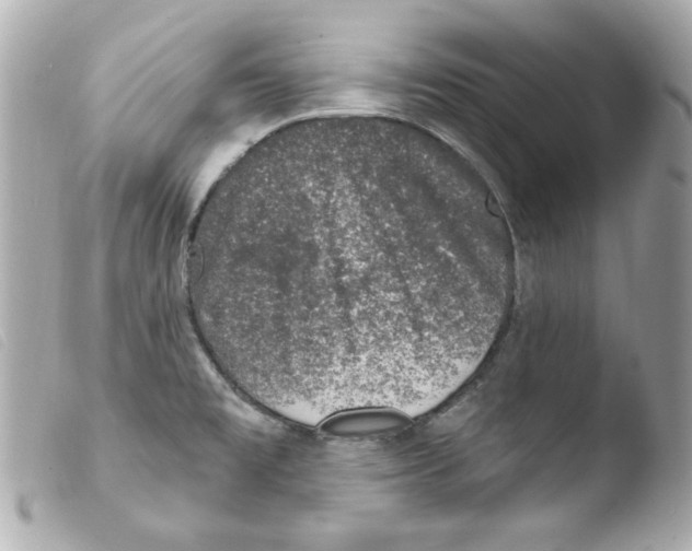 X0000103471477200810100923