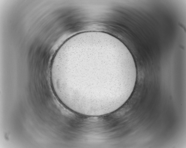 X0000103471478200810100923