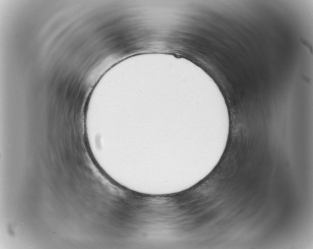 X0000103471479200810100923
