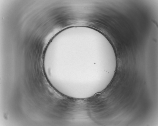 X0000103471480200810100923