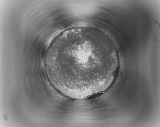 X0000103471481200810100923