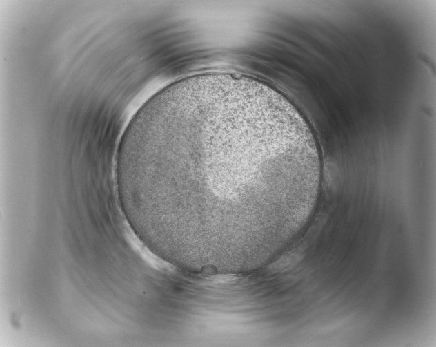 X0000103471482200810100923