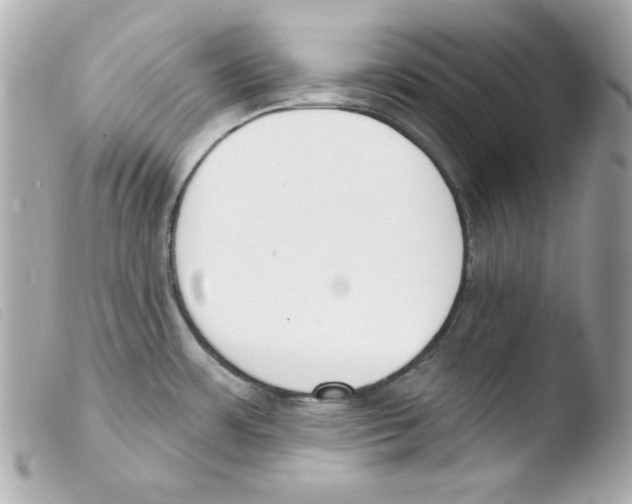 X0000103471483200810100923
