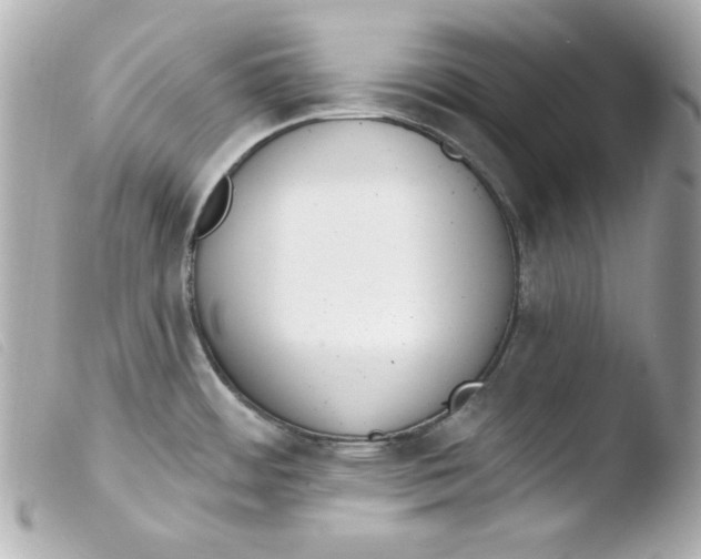 X0000103471484200810100923