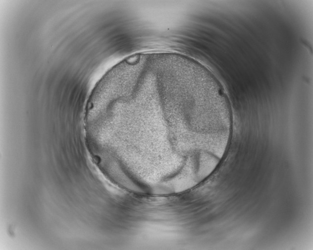 X0000103471485200810100923