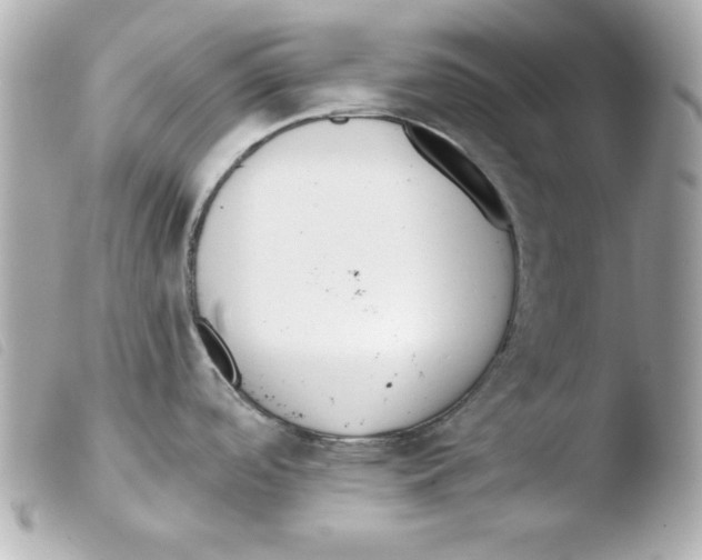 X0000103471488200810100923