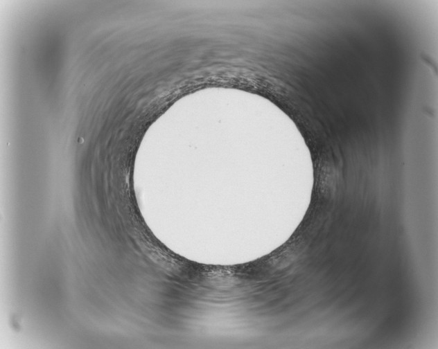 X0000103471489200810100923