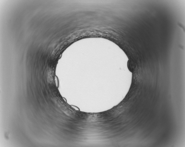 X0000103471490200810100923