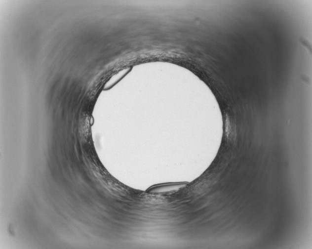 X0000103471492200810100923