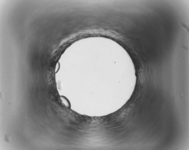 X0000103471494200810100923