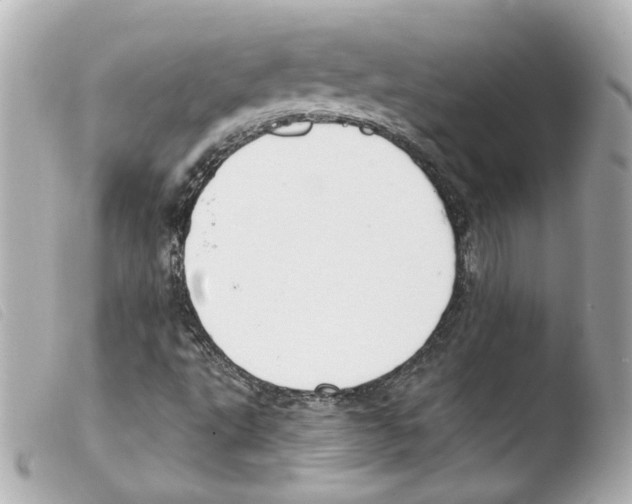 X0000103471495200810100923