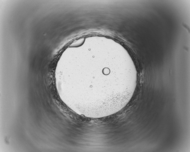 X0000103471496200810100923