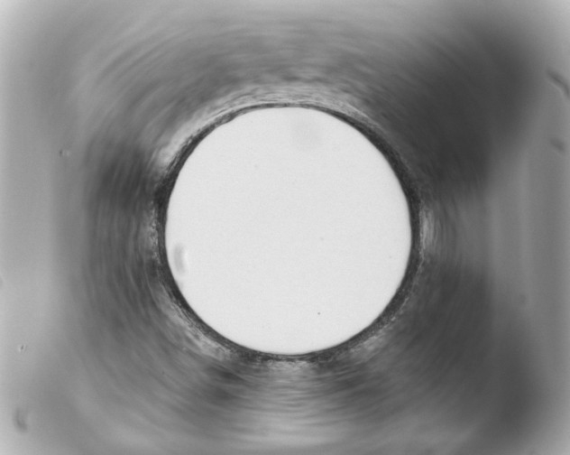 X0000103471498200810100923
