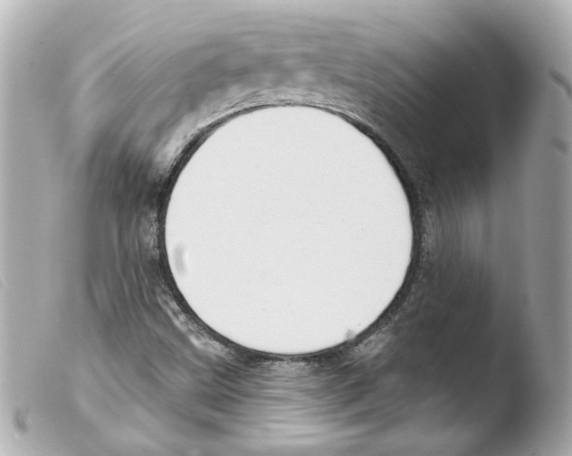 X0000103471499200810100923