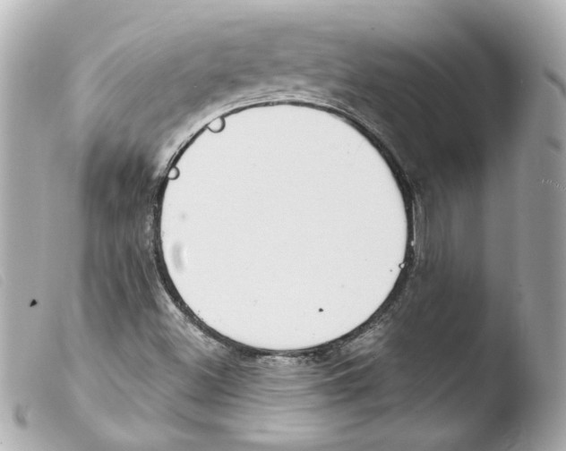 X0000103471500200810100923