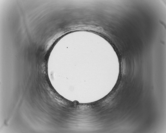 X0000103471501200810100923