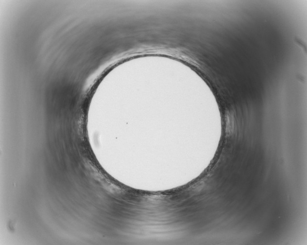 X0000103471502200810100923