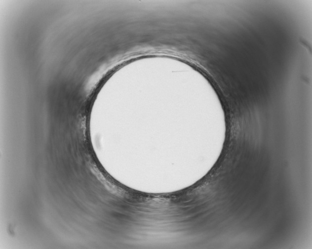 X0000103471503200810100923