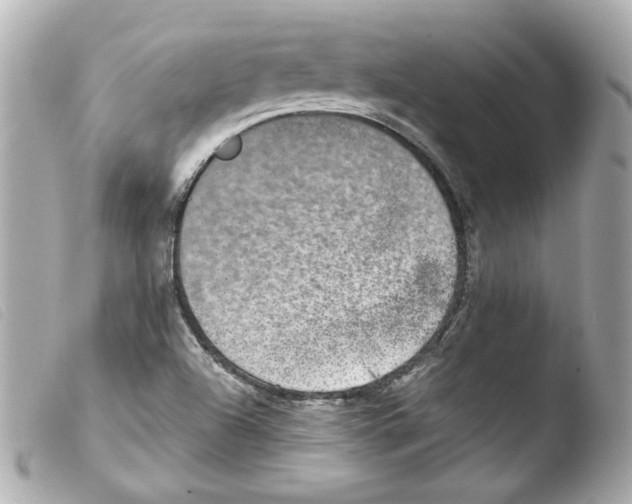 X0000103471504200810100923