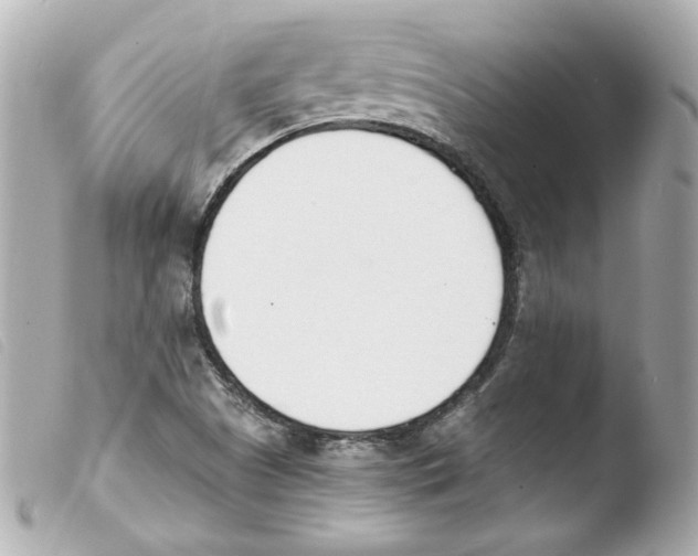 X0000103471505200810100923