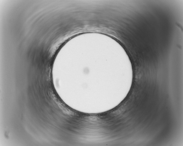 X0000103471507200810100923