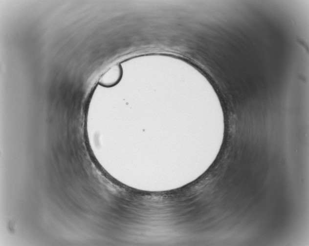 X0000103471508200810100923