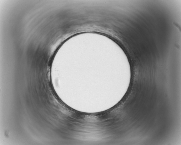 X0000103471509200810100923