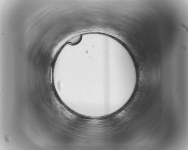 X0000103471510200810100923
