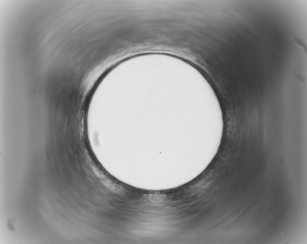 X0000103471511200810100923