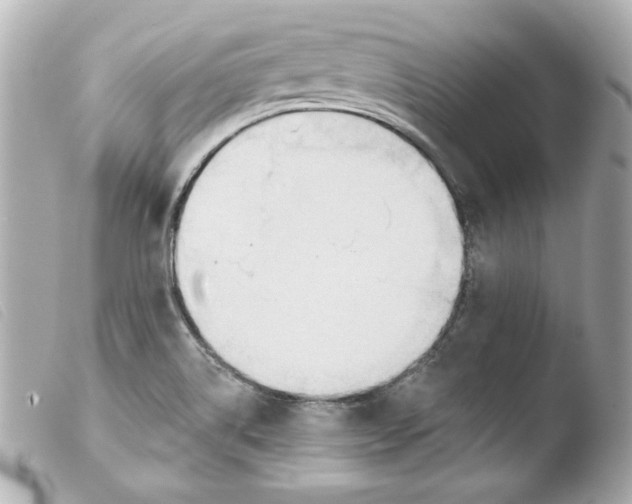 X0000103471514200810100923