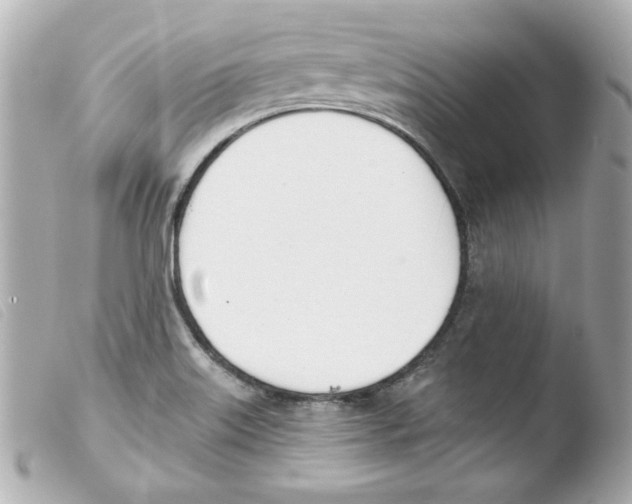 X0000103471515200810100923