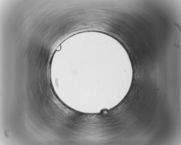 X0000103471516200810100923