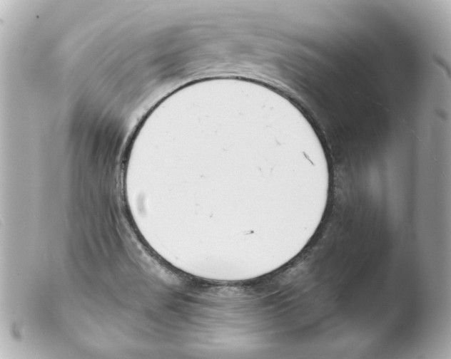 X0000103471517200810100923
