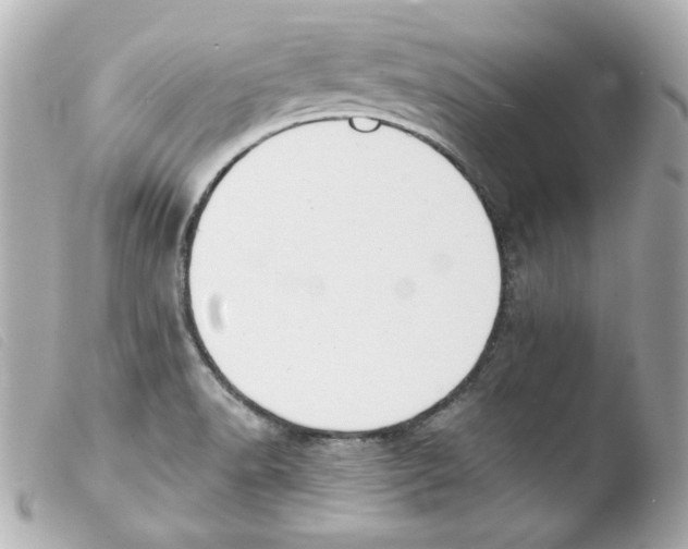X0000103471518200810100923