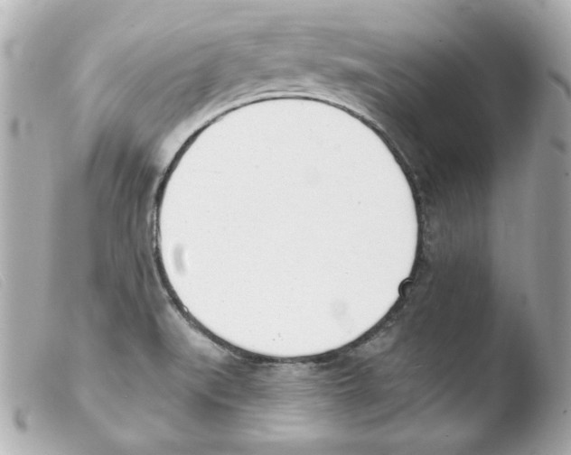 X0000103471519200810100923