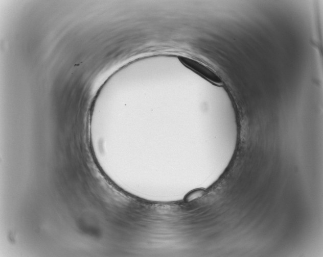 X0000103471520200810100923