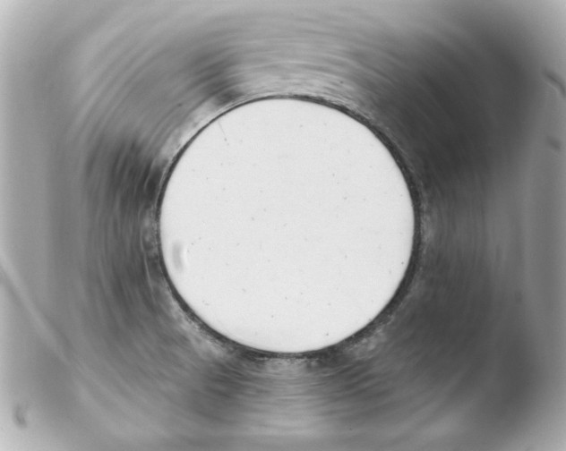 X0000103471521200810100923