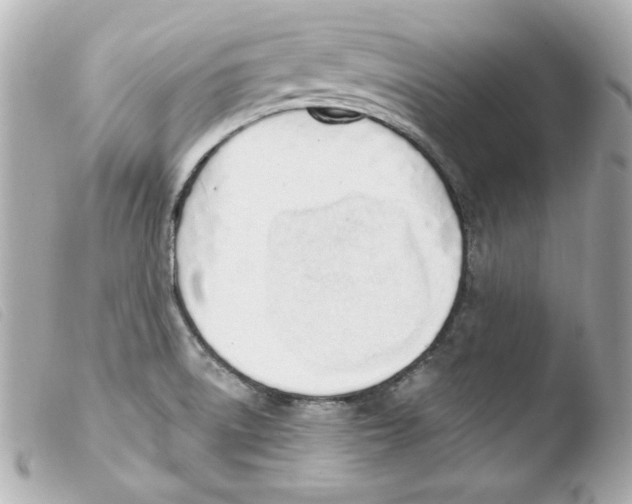 X0000103471522200810100923