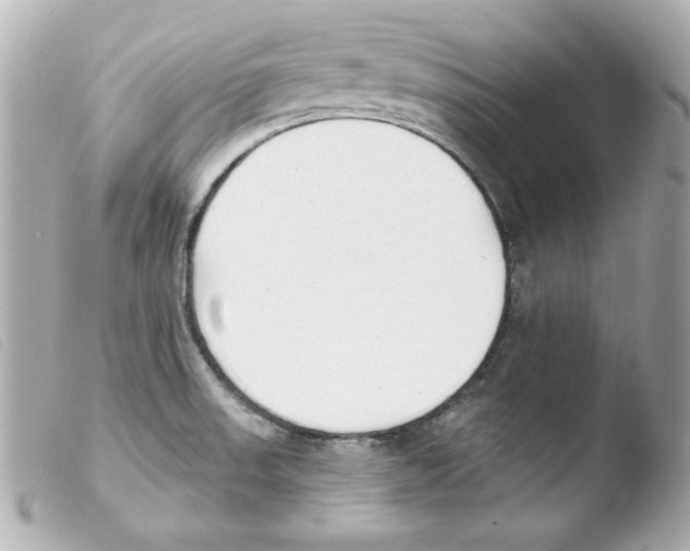 X0000103471523200810100923