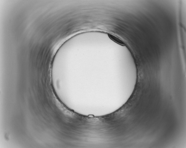 X0000103471524200810100923