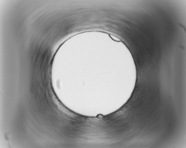 X0000103471526200810100923