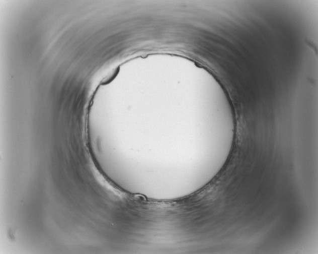 X0000103471528200810100923